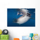 Whale Shark Feeding under Wall Decal Design 36
