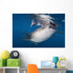 Whale Shark Feeding under Wall Decal Design 36