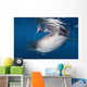 Whale Shark Feeding under Wall Decal Design 36