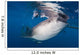 Whale Shark Feeding under Wall Decal Design 36