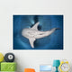 Whale Shark Feeding under Wall Decal Design 35