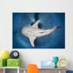 Whale Shark Feeding under Wall Decal Design 35