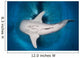 Whale Shark Feeding under Wall Decal Design 35