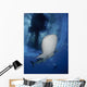 Whale Shark Feeding under Wall Decal Design 34
