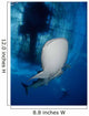 Whale Shark Feeding under Wall Decal Design 34