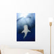 Whale Shark Feeding under Wall Decal Design 33
