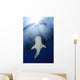 Whale Shark Feeding under Wall Decal Design 33