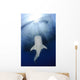 Whale Shark Feeding under Wall Decal Design 33