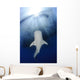 Whale Shark Feeding under Wall Decal Design 33