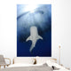 Whale Shark Feeding under Wall Decal Design 33