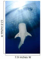 Whale Shark Feeding under Wall Decal Design 33