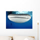 Whale Shark Feeding under Wall Decal Design 32