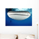 Whale Shark Feeding under Wall Decal Design 32