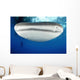 Whale Shark Feeding under Wall Decal Design 32