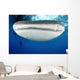 Whale Shark Feeding under Wall Decal Design 32