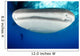 Whale Shark Feeding under Wall Decal Design 32