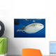 Whale Shark Feeding under Wall Decal Design 31