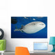 Whale Shark Feeding under Wall Decal Design 31