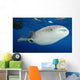Whale Shark Feeding under Wall Decal Design 31