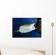 Whale Shark Feeding under Wall Decal Design 30