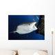 Whale Shark Feeding under Wall Decal Design 30
