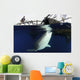 Whale Shark Feeding under Wall Decal Design 29