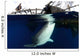 Whale Shark Feeding under Wall Decal Design 29