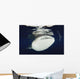 Whale Shark Feeding under Wall Decal Design 28