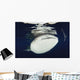 Whale Shark Feeding under Wall Decal Design 28