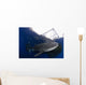 Whale Shark Feeding under Wall Decal Design 27
