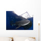 Whale Shark Feeding under Wall Decal Design 27