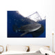 Whale Shark Feeding under Wall Decal Design 27