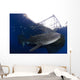 Whale Shark Feeding under Wall Decal Design 27