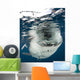 Whale Shark Feeding under Wall Decal Design 26