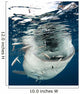 Whale Shark Feeding under Wall Decal Design 26