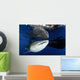 Whale Shark Feeding under Wall Decal Design 25