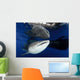 Whale Shark Feeding under Wall Decal Design 25