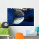Whale Shark Feeding under Wall Decal Design 25