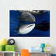 Whale Shark Feeding under Wall Decal Design 25