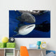 Whale Shark Feeding under Wall Decal Design 25