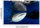Whale Shark Feeding under Wall Decal Design 25