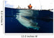 Whale Shark Feeding under Wall Decal Design 23