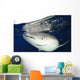 Whale Shark Feeding under Wall Decal Design 22