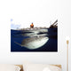 Whale Shark Feeding under Wall Decal Design 21