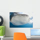 Whale Shark Feeding under Wall Decal Design 20