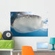 Whale Shark Feeding under Wall Decal Design 20