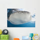 Whale Shark Feeding under Wall Decal Design 20