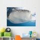 Whale Shark Feeding under Wall Decal Design 20