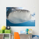 Whale Shark Feeding under Wall Decal Design 20