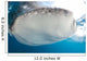 Whale Shark Feeding under Wall Decal Design 20